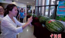 莱州今日吃瓜爆料新闻,揭秘当地热点事件背后的真相